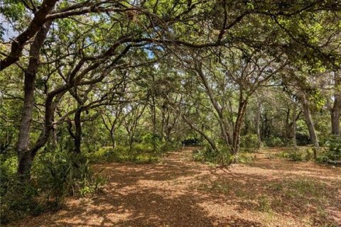 Land in Eustis, Florida № 2108168 - photo 25