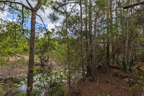 Land in Eustis, Florida № 2108168 - photo 18