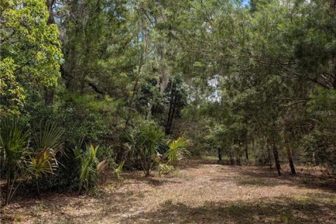 Land in Eustis, Florida № 2108168 - photo 10