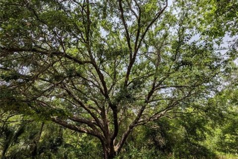 Land in Eustis, Florida № 2108168 - photo 9