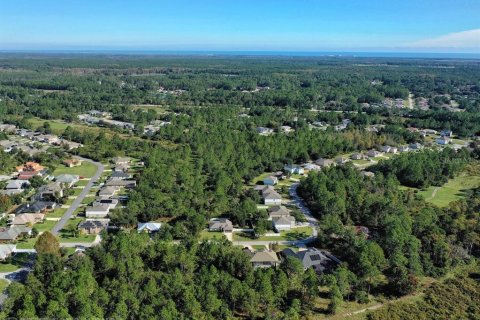 Terreno en venta en Palm Coast, Florida № 1765426 - foto 3