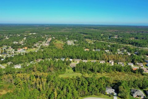 Terreno en venta en Palm Coast, Florida № 1765426 - foto 2