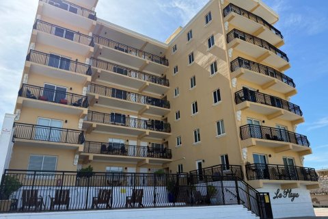 Снять в аренду кондоминиум в Холливуд, Флорида 3 комнаты, 55.28м2, № 2175702 - фото 5