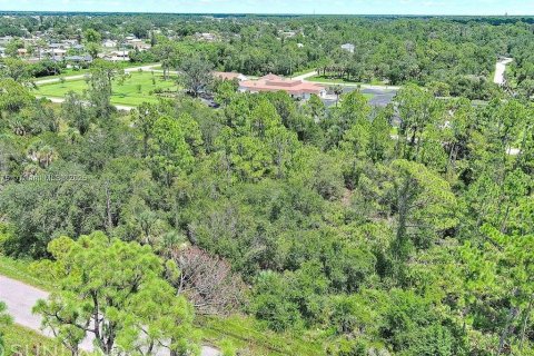 Land in Port Charlotte, Florida № 2164310 - photo 3