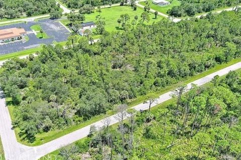 Land in Port Charlotte, Florida № 2164310 - photo 7