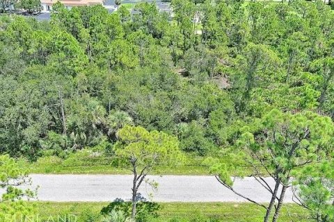 Land in Port Charlotte, Florida № 2164310 - photo 2