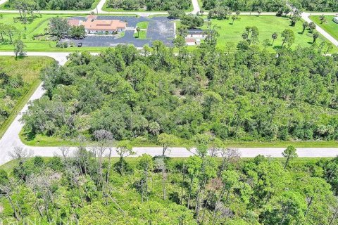 Land in Port Charlotte, Florida № 2164310 - photo 5
