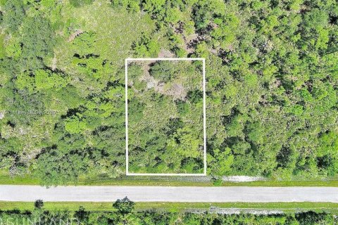 Land in Port Charlotte, Florida № 2164310
