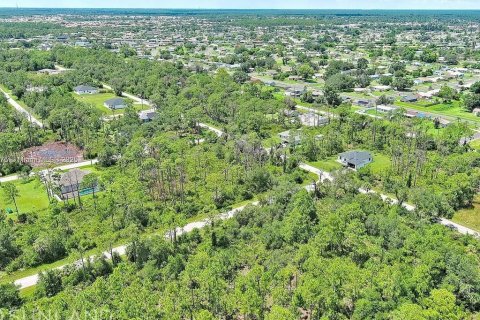 Land in Port Charlotte, Florida № 2164310 - photo 9
