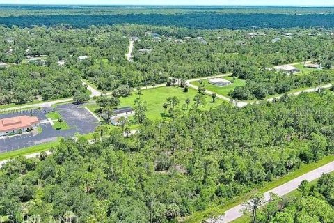 Land in Port Charlotte, Florida № 2164310 - photo 6