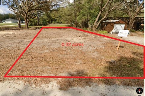 Terrain à Dunnellon, Floride № 2213737