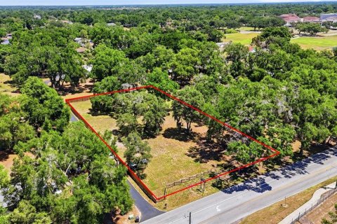 Terreno en venta en Brandon, Florida № 2093524 - foto 5