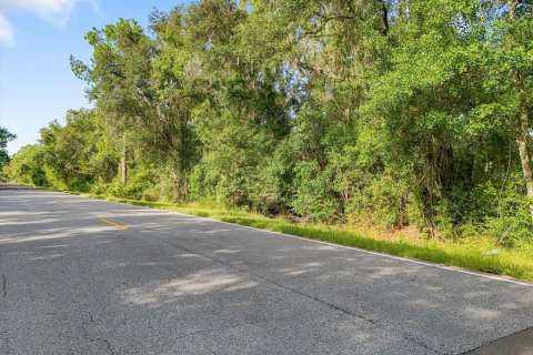 Land in Plant City, Florida № 1815007 - photo 12