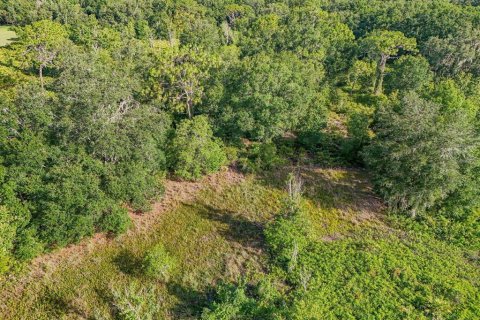Land in Plant City, Florida № 1815007 - photo 7