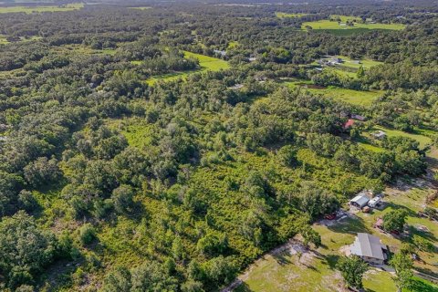 Land in Plant City, Florida № 1815007 - photo 10