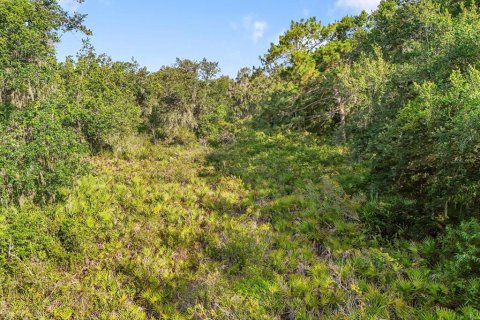 Land in Plant City, Florida № 1815007 - photo 6