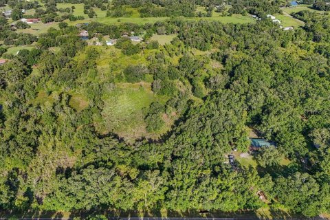 Land in Plant City, Florida № 1815007 - photo 3