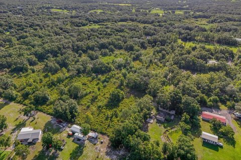 Land in Plant City, Florida № 1815007 - photo 11