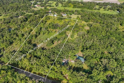 Land in Plant City, Florida № 1815007 - photo 1