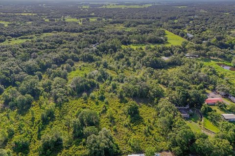 Land in Plant City, Florida № 1815007 - photo 4