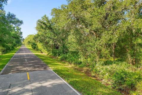 Land in Plant City, Florida № 1815007 - photo 8