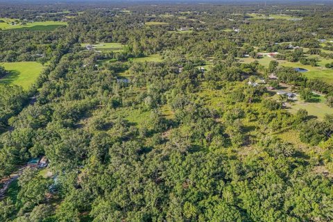 Land in Plant City, Florida № 1815007 - photo 9
