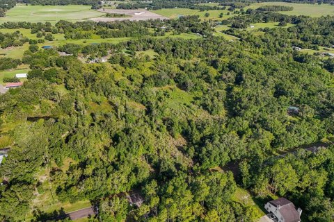 Land in Plant City, Florida № 1815007 - photo 2