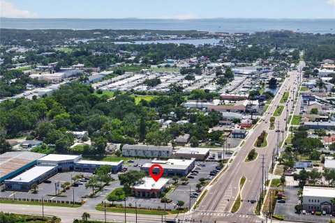 Commercial property in Port Richey, Florida № 2219442 - photo 13