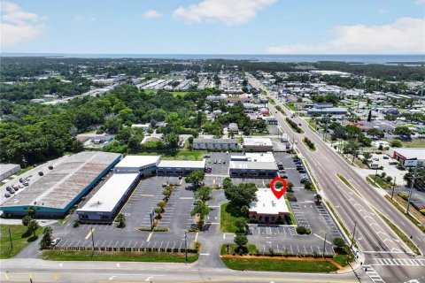 Commercial property in Port Richey, Florida № 2219442 - photo 4