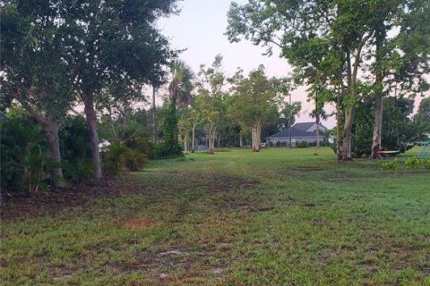 Land in Punta Gorda, Florida № 1786269 - photo 5
