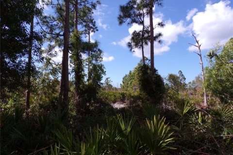 Land in Punta Gorda, Florida № 2213822 - photo 14