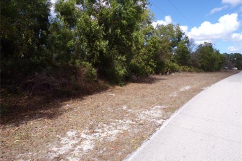 Land in Punta Gorda, Florida № 2213822 - photo 6