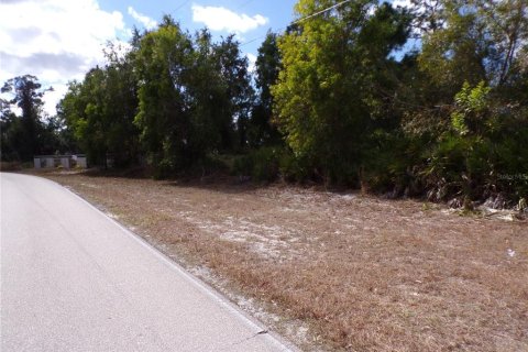 Land in Punta Gorda, Florida № 2213822 - photo 5