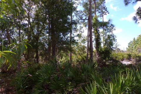 Land in Punta Gorda, Florida № 2213822 - photo 15
