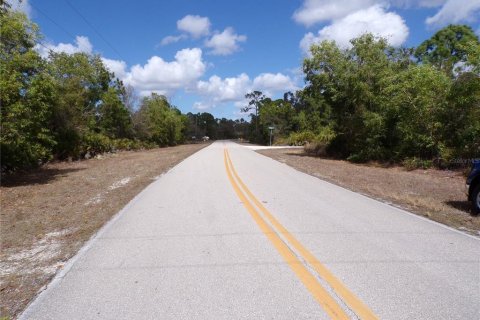 Land in Punta Gorda, Florida № 2213822 - photo 9