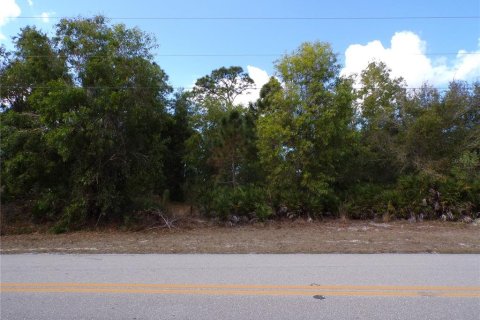 Land in Punta Gorda, Florida № 2213822