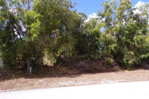 Land in Punta Gorda, Florida № 2213822 - photo 2