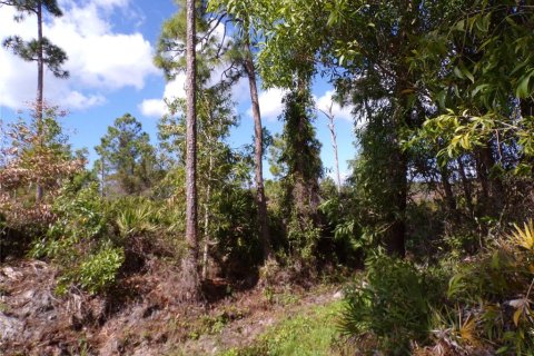 Land in Punta Gorda, Florida № 2213822 - photo 18