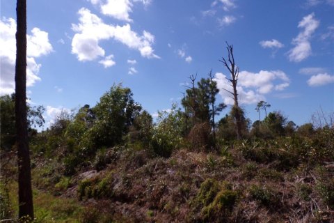 Land in Punta Gorda, Florida № 2213822 - photo 17