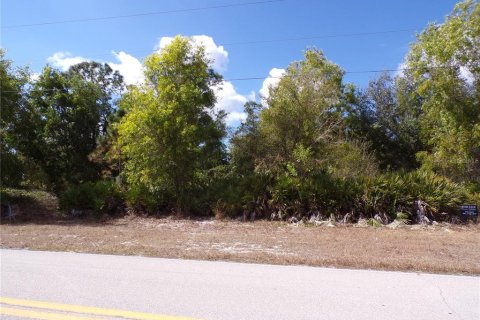 Land in Punta Gorda, Florida № 2213822 - photo 3