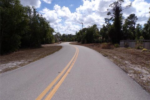 Land in Punta Gorda, Florida № 2213822 - photo 10