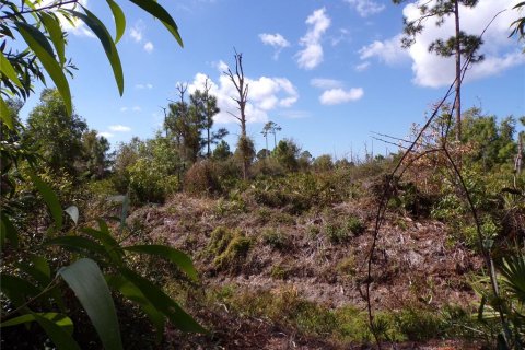 Land in Punta Gorda, Florida № 2213822 - photo 16