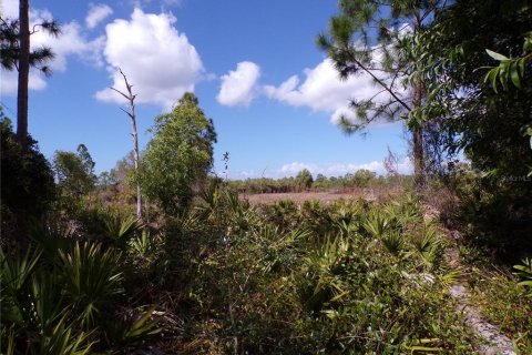 Land in Punta Gorda, Florida № 2213822 - photo 11