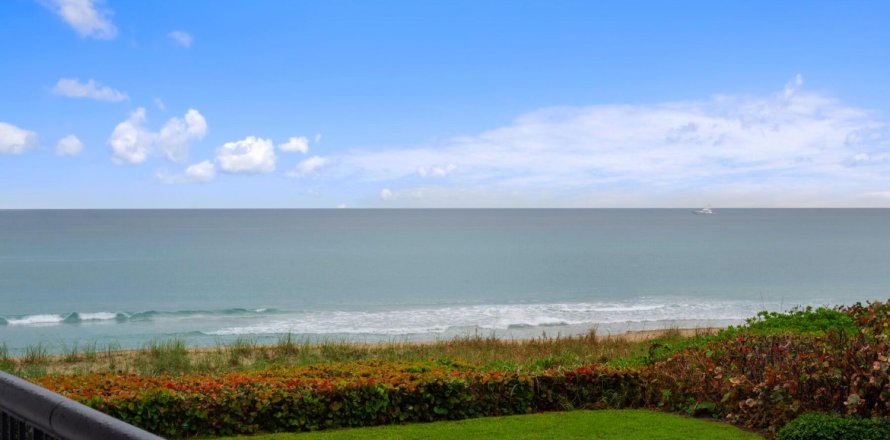 Condominio en Palm Beach, Florida, 2 dormitorios  № 983993