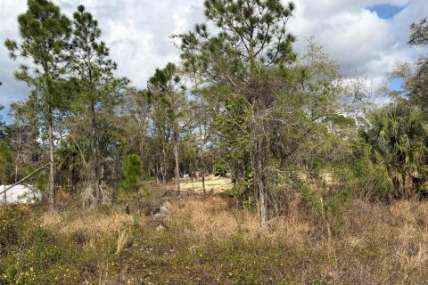 Land in Poinciana, Florida № 2235365 - photo 8