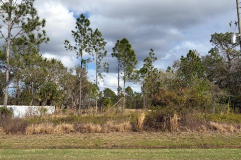 Land in Poinciana, Florida № 2235365 - photo 11