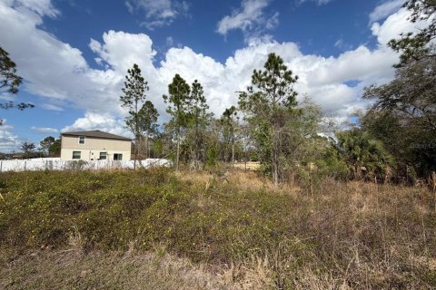 Land in Poinciana, Florida № 2235365 - photo 6