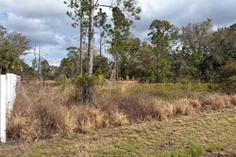 Land in Poinciana, Florida № 2235365 - photo 2