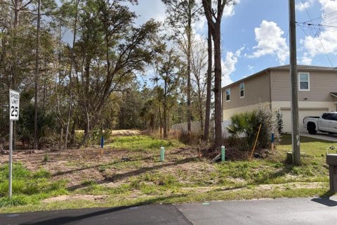 Land in Poinciana, Florida № 2235365 - photo 14