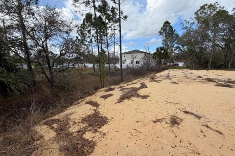 Land in Poinciana, Florida № 2235365 - photo 18